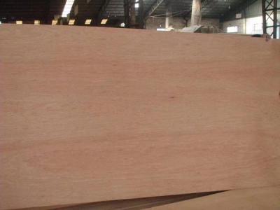 Back poplar core plywood